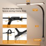 LED Desk Lamp for Home Office - Eye-Caring Computer Desk Light with Clamp, Rotatable Computer Lighting with Color Changing, Dimmable Monitor Table Lamp with Gooseneck, Double Head, Black - Image 5