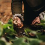 Fiskars Xact Hand Rake, Heavy Duty Gardening Hand Tool with Ergonomic Handle and Hanging Hole for Storage, Stainless Steel Head and Tines, Perfect for Maintaining a Raised Garden Bed - Image 4