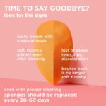 Real Techniques Miracle Complexion Makeup Sponge, 4-Pack Beauty Blender For Liquid & Cream Foundation, Streak-Free Coverage, Latex-Free, Vegan & Cruelty-Free - Image 8