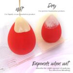 BEAKEY Makeup Sponge Set 5 Pack Micro Porous Low Absorption Soft Latex Free Foundation Beauty Sponges & Blenders for Powder Cream, Stocking Stuffers for Women - Image 7