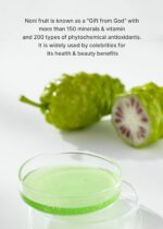 celimax Noni Energy Ampoule 50ml | with Noni Extract, Hydrating, Moisturizing & Soothing Serum for Wrinkles & Fine Lines, Mild Ampoule For Face - Image 9