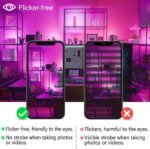 MELPO LED Flood Light Outdoor 800W Equivalent 8000LM Smart RGB Landscape Lighting with APP Control, DIY Scenes - Timing - Warm White 2700K - Color Changing Uplight, IP66 Waterproof US Plug (4Pack) - Image 7