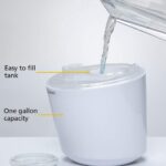 Safety 1st Stay Clean Humidifier, Ultrasonic Mist, One Gallon Easy to Fill Tank, LED Light, and Filter Free - Image 5