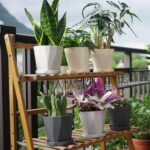 InmeRun Plant Pots Indoor Plastic Flower Pots Outdoor 5 inch Set of 6 Pack with Drainage Holes and Saucers for Garden Pots (5 in 6 pcs) - Image 3