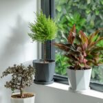 InmeRun Plant Pots Indoor Plastic Flower Pots Outdoor 5 inch Set of 6 Pack with Drainage Holes and Saucers for Garden Pots (5 in 6 pcs) - Image 4