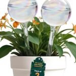 Best 5 Amazon self-watering spikes for indoor plants under 20$
